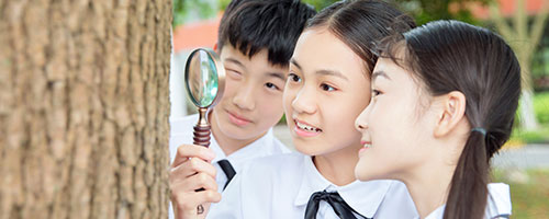 中加楓華國際學(xué)校初中部2024年有哪些入學(xué)條件？
